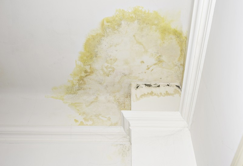Does Your Home Insurance Policy Cover Roof Leaks?